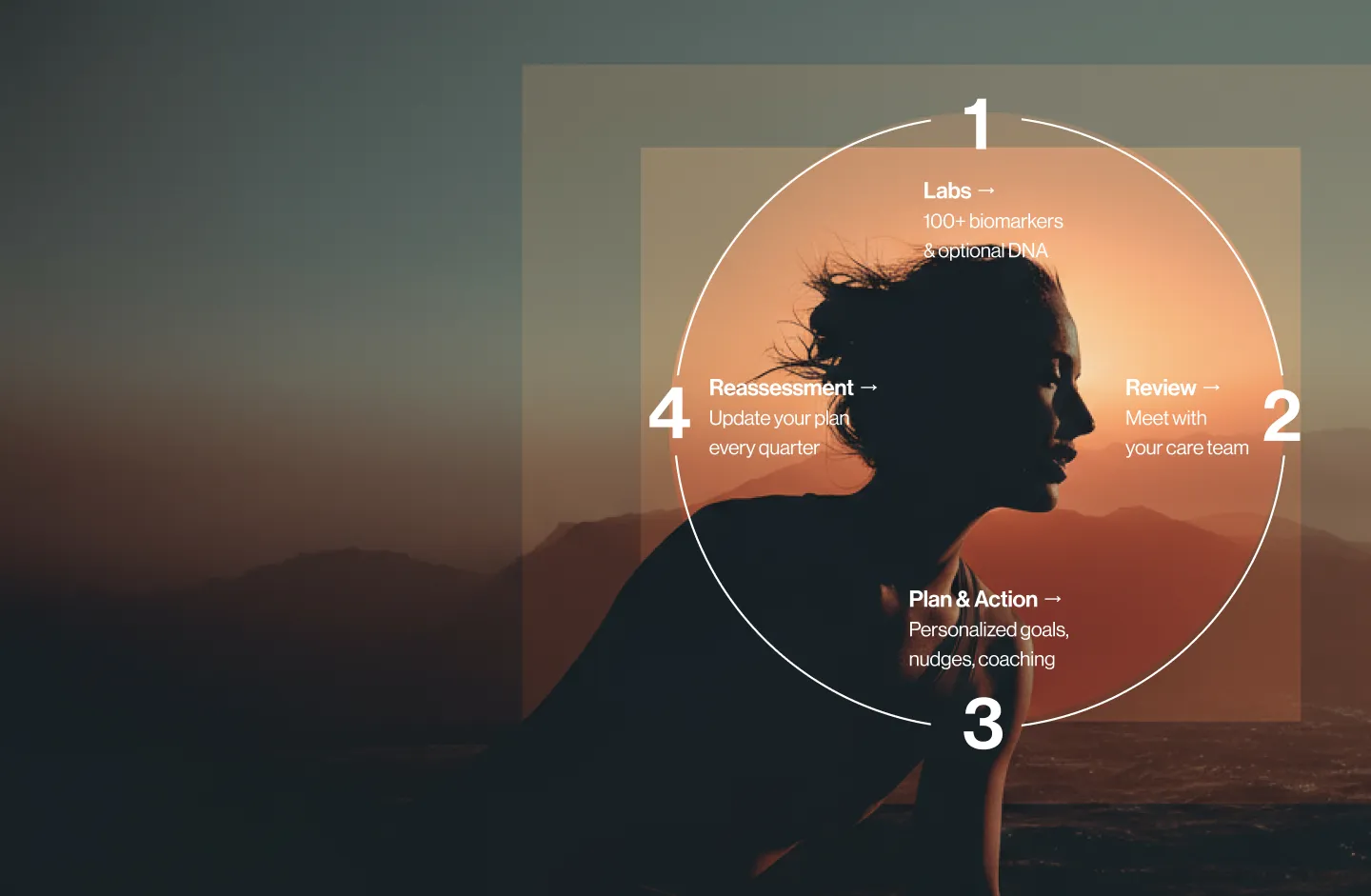 Compass Model visual showing the wellness loop cycle